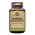 Solgar - Herbal Products - Boswellia Resin Extract Vegicaps - Size: 60.