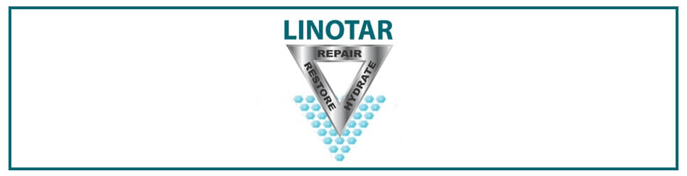 The logo for linostar is shown on a white background.