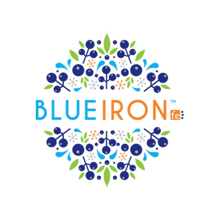 BlueIron