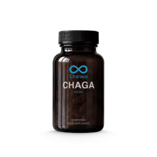 Charava Chaga 500mg - Image 2
